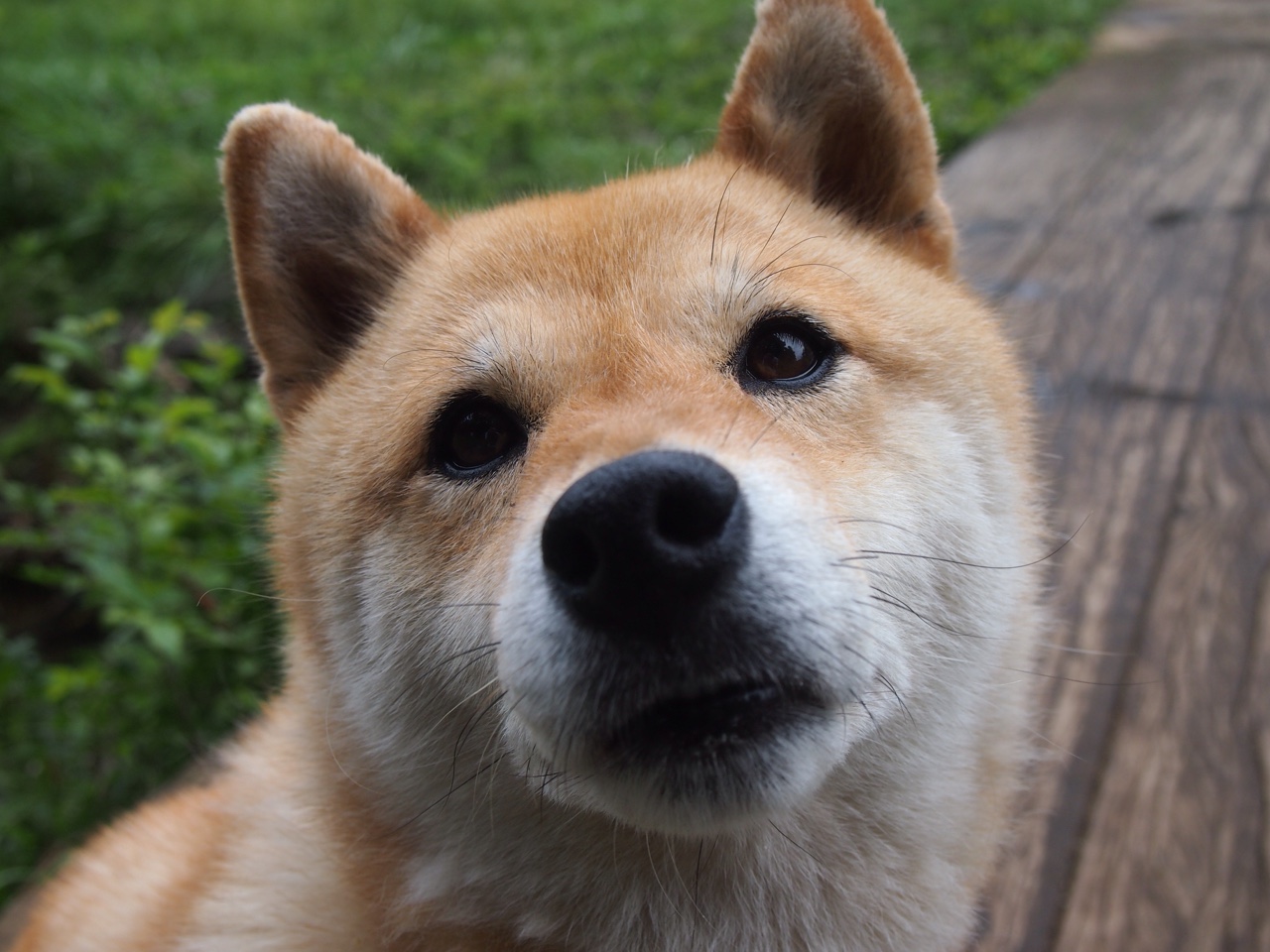 世界杯球员心理辅导案例分享